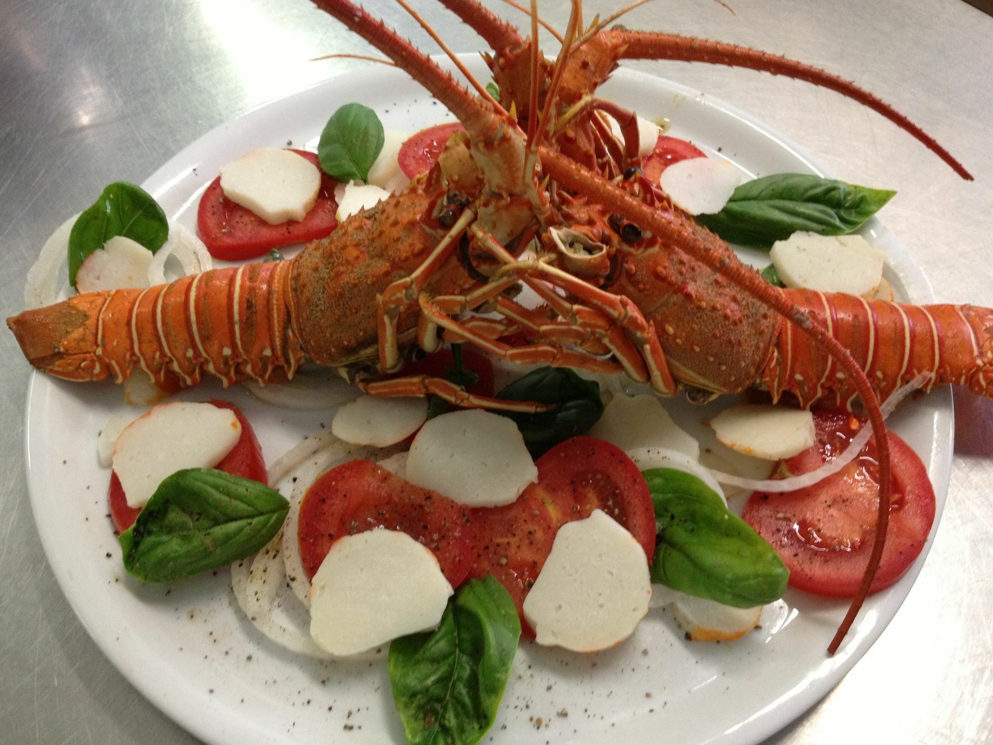 Stella Maris Hotel Cervia Luaran gambar